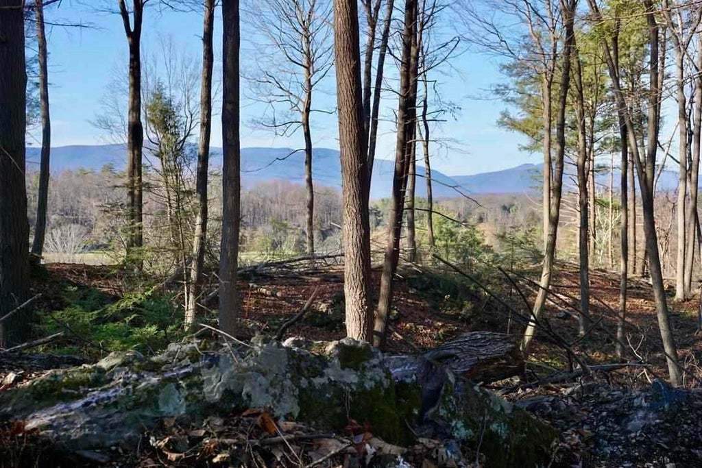Land for Sale! Five Spectacular Hudson Valley Parcels in Saugerties New